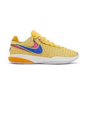 Nike LeBron James 20 James Gang shoes